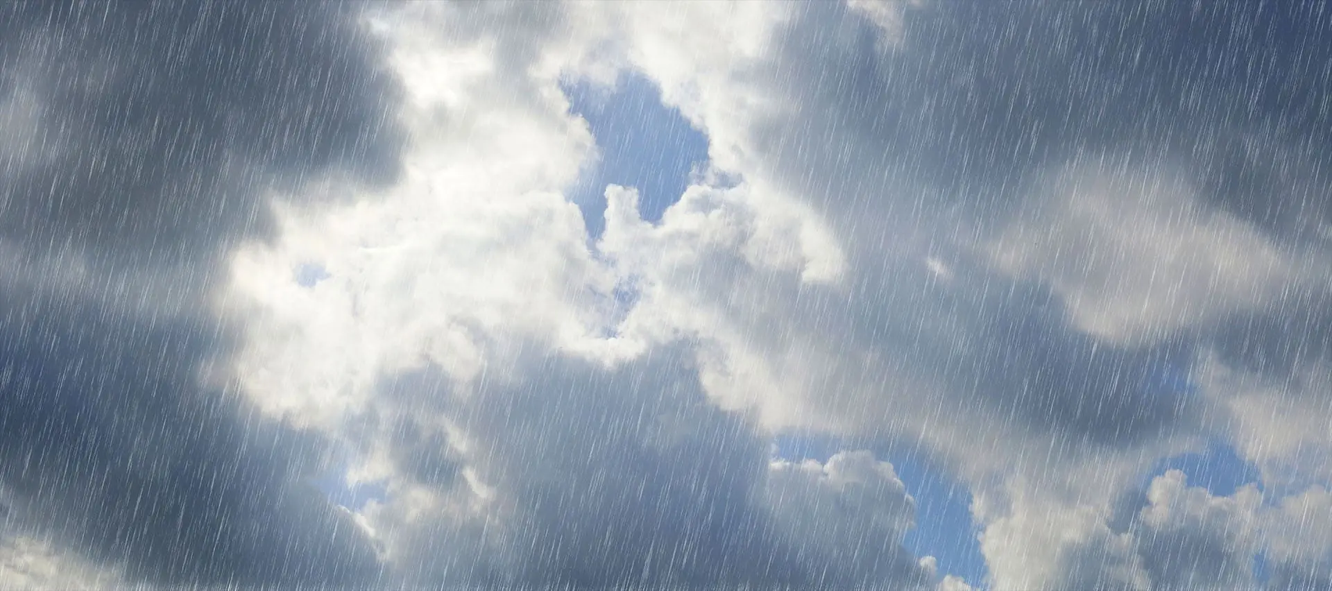 ZHMS meteocome