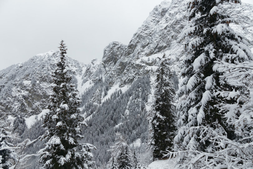 Neve abbondante prevista sulle Alpi per Immacolata