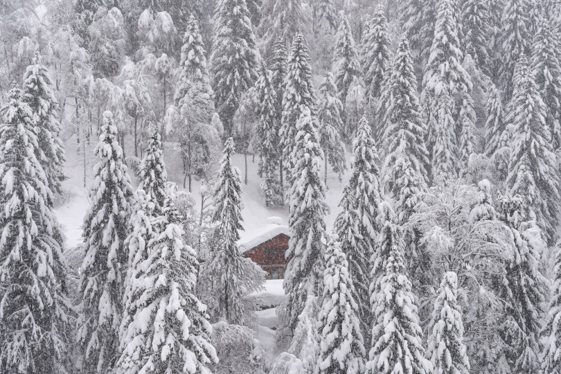 Neve sulle Alpi a Santo Stefano