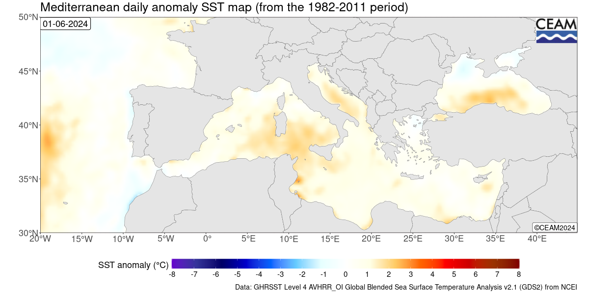 Anomalia Temperatura Mediterraneo